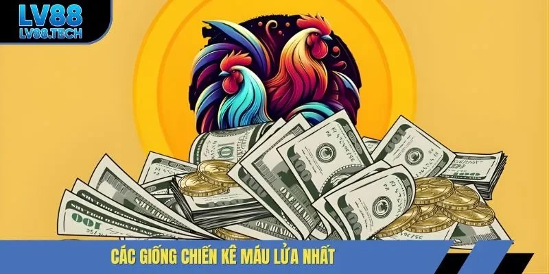 Các giống chiến kê máu lửa nhất