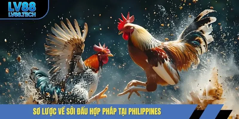 Sơ lược về sới đấu hợp pháp tại Philippines
